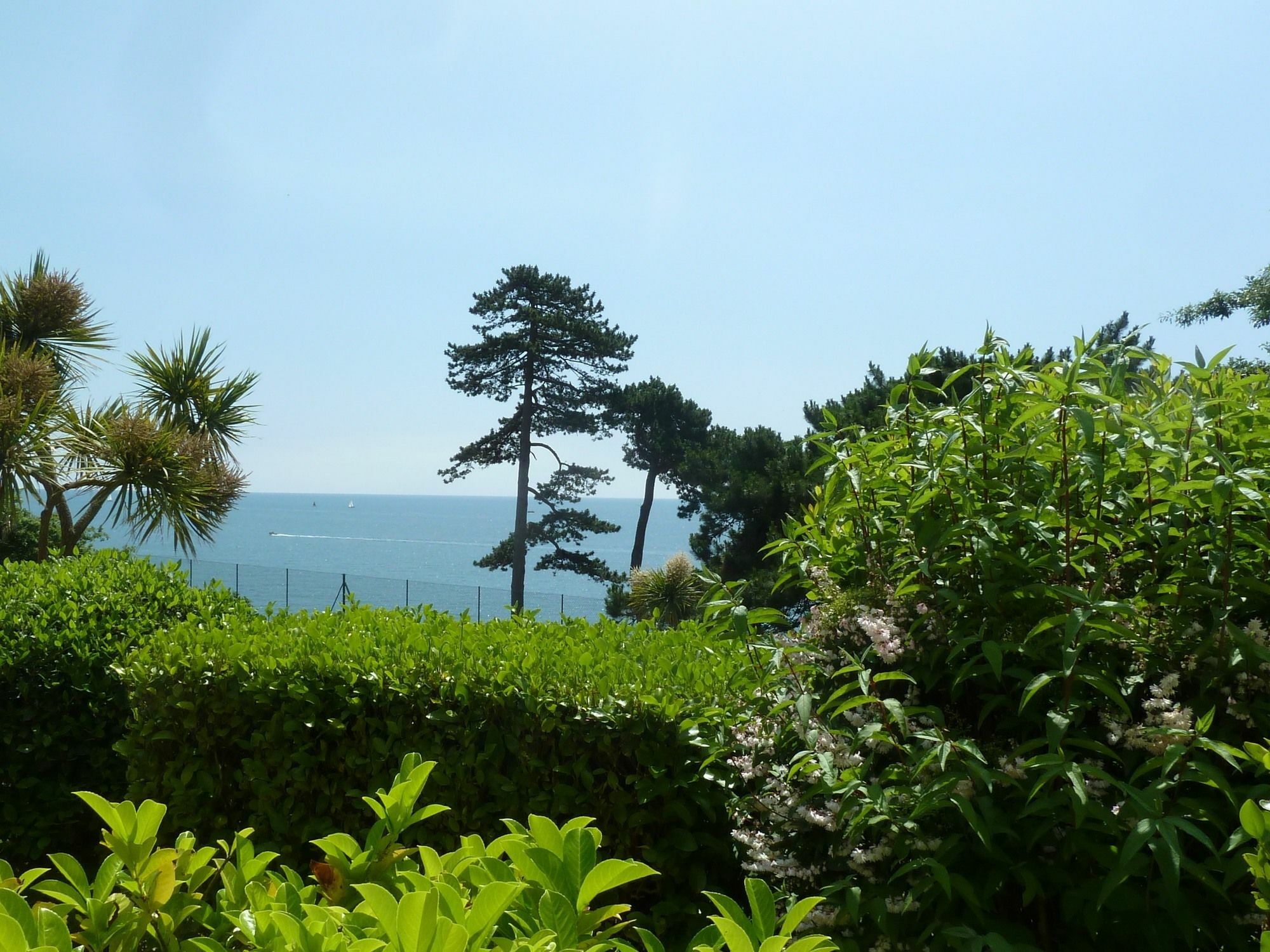 Tramontane Apartment At Hesketh Crescent Torquay Dış mekan fotoğraf